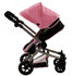 Poppenwagen Paris_